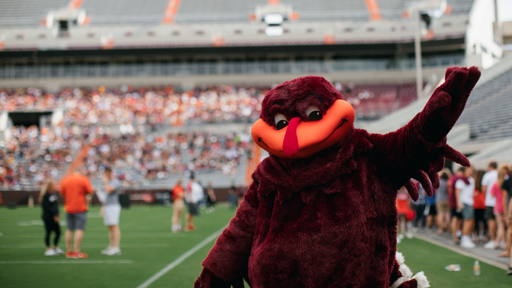 Hokie Bird